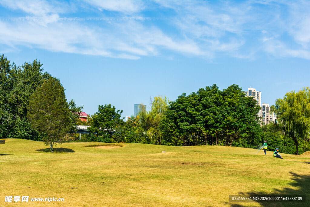 晴日公园草坪风光