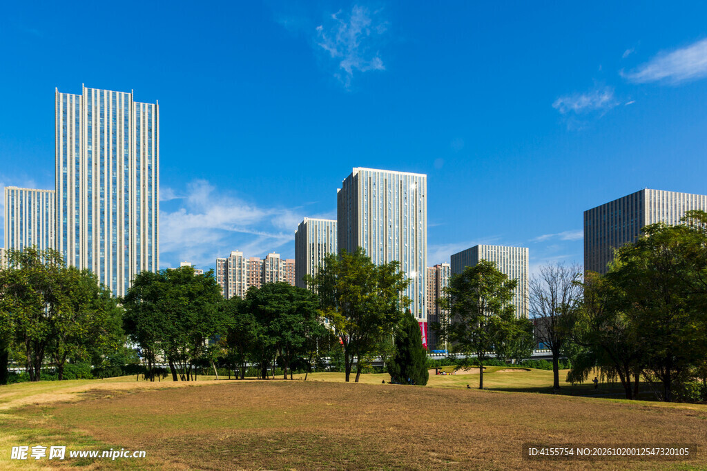 城市公园远眺高楼群