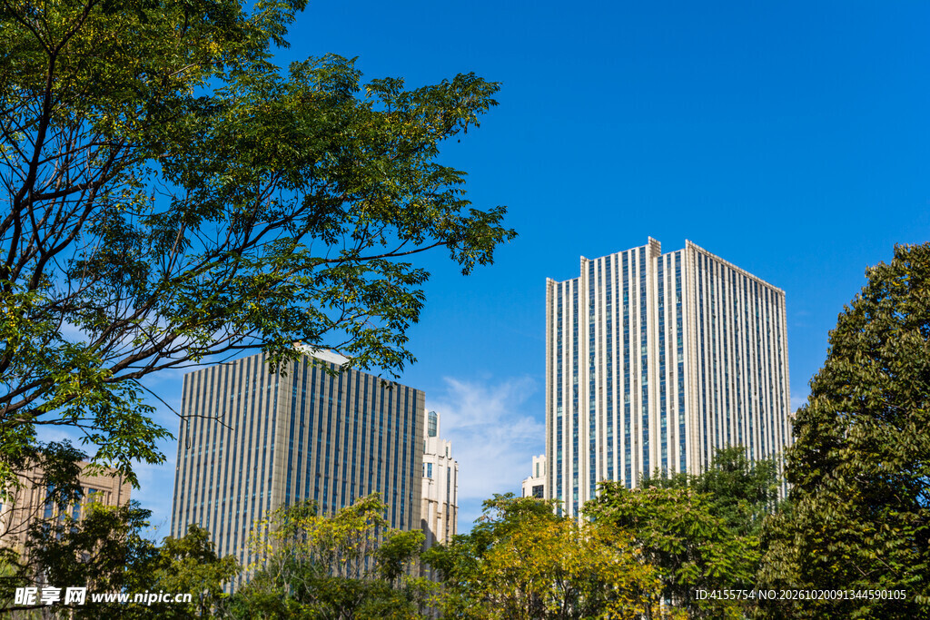 蓝天下城市高楼绿植景观