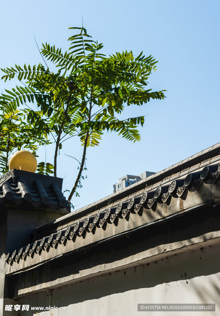古建屋檐旁的绿树晴空
