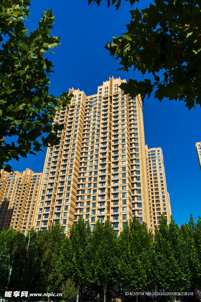 绿树掩映高层住宅楼