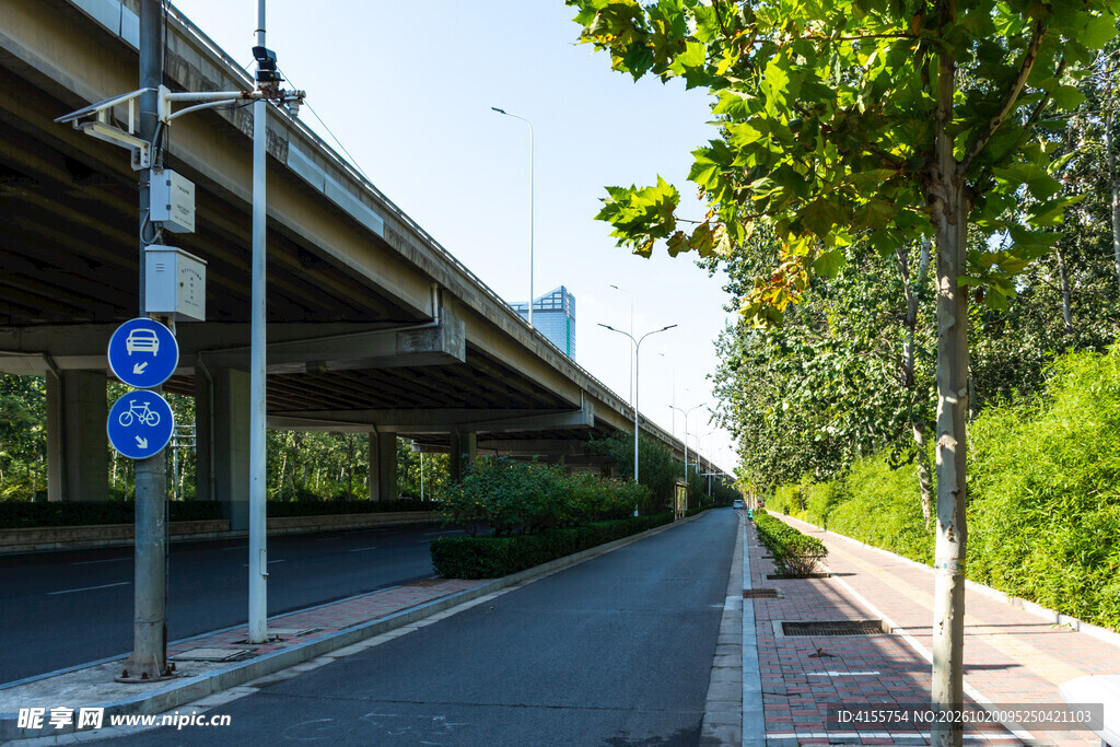 城市高架下林荫道路