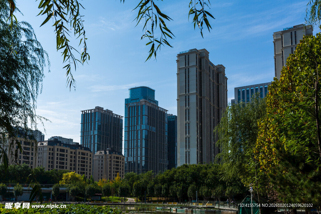 城市公园高楼景观