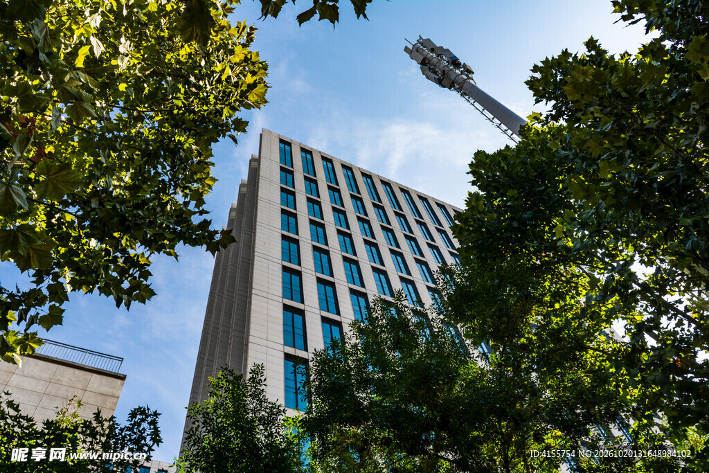仰拍绿树间城市高楼