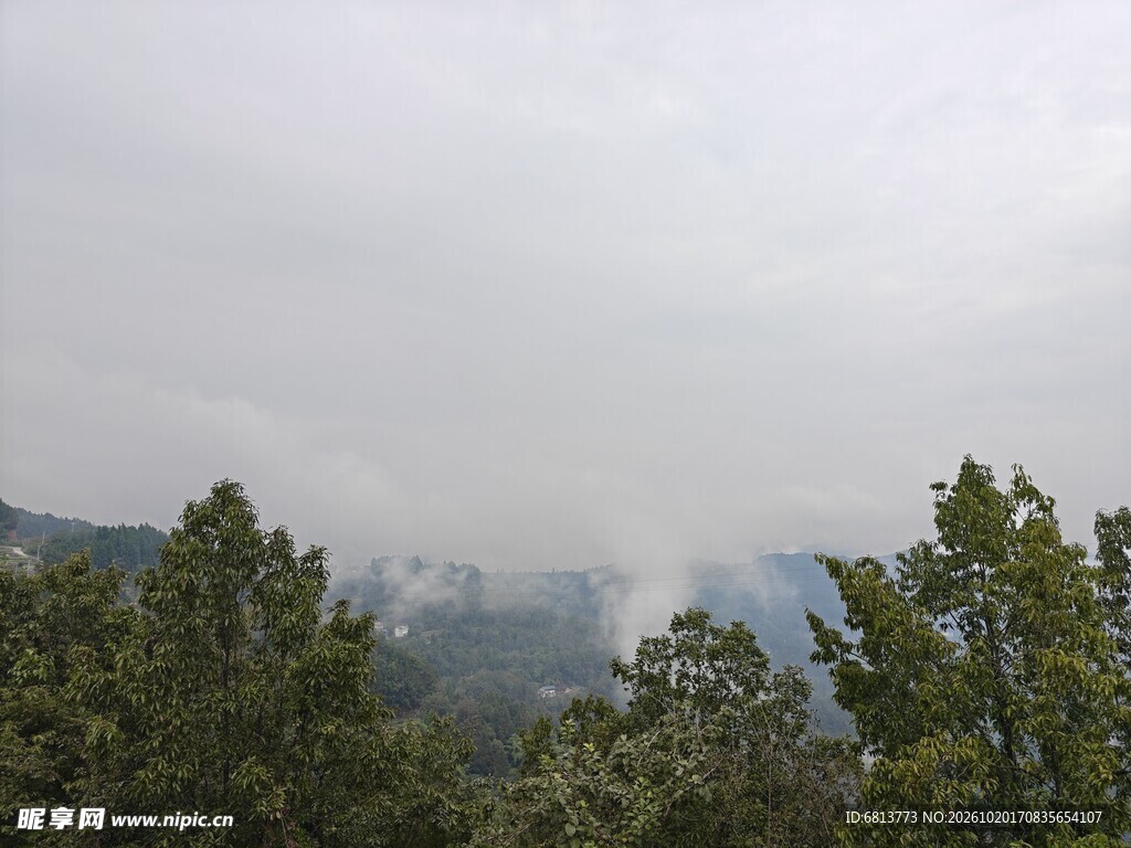雾中山林自然风景