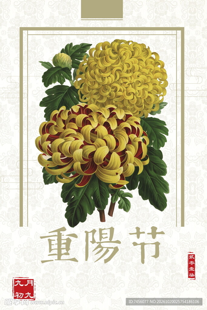 重阳节菊花国风插画