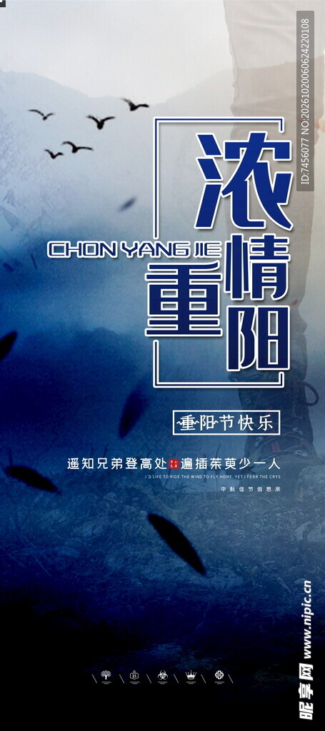 液中鱼文艺创意海报