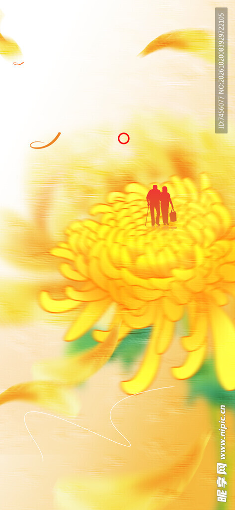 暖黄写意菊花手绘插画