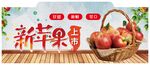 新苹果上市