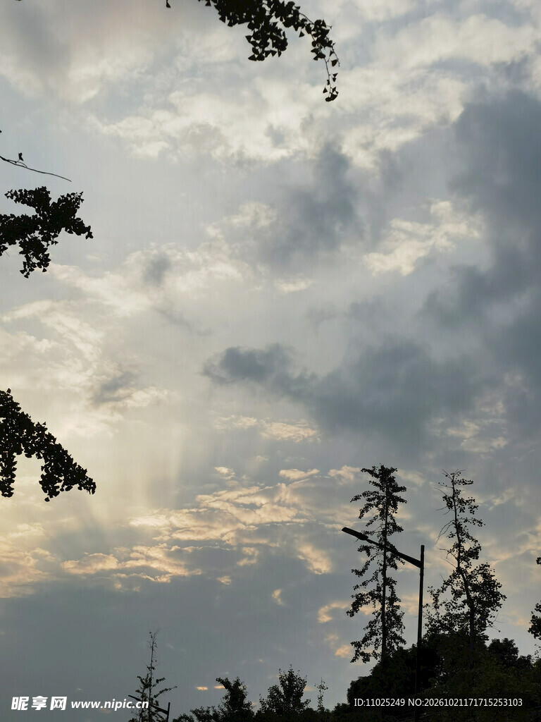 树林剪影丁达尔光效天空风景