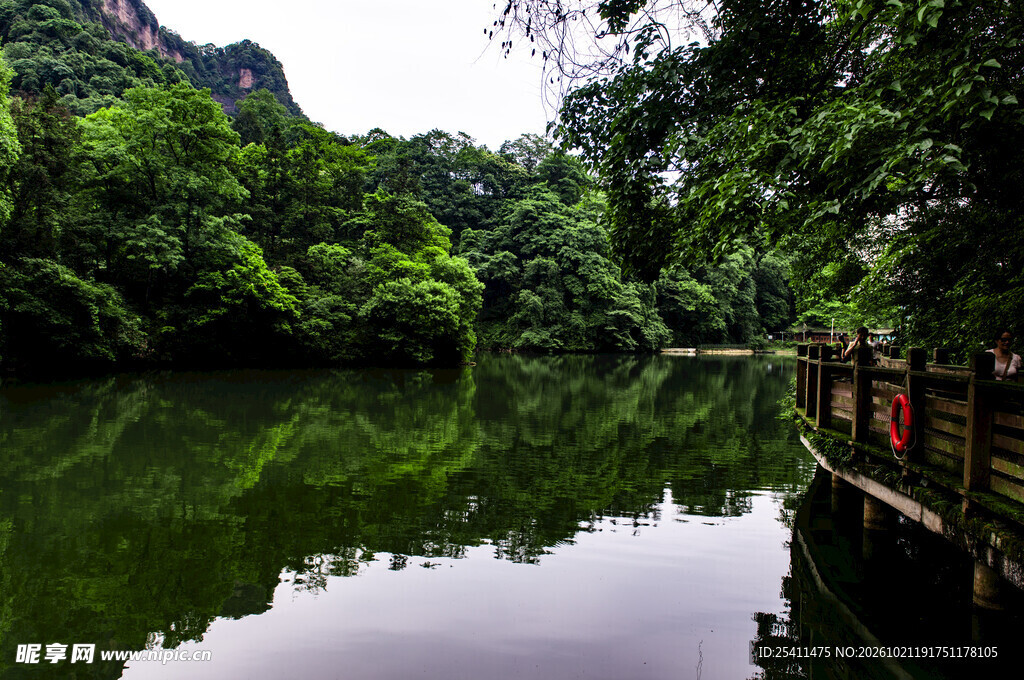 林间水畔栈道风光