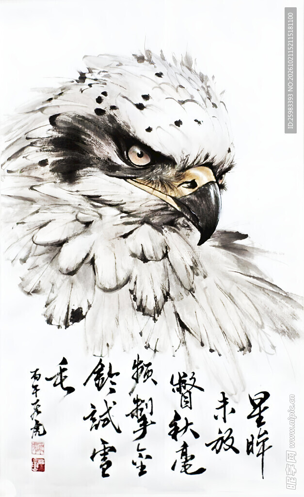 雄鹰凝视图
