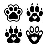 猫爪图案