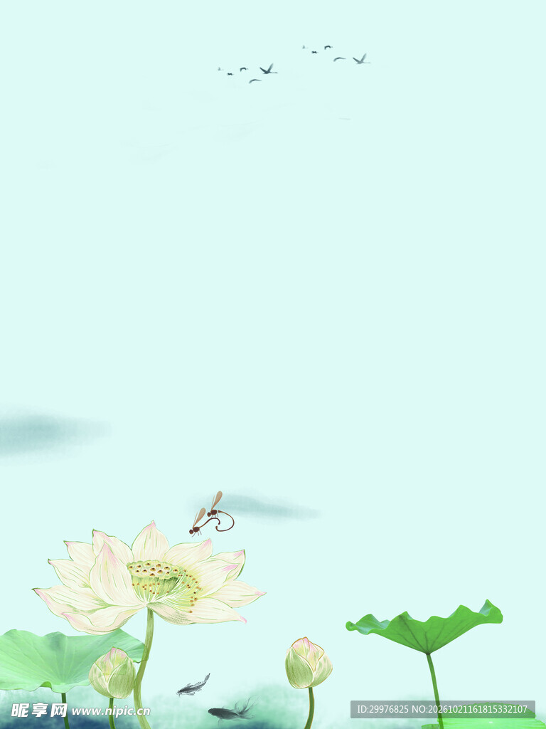 荷花