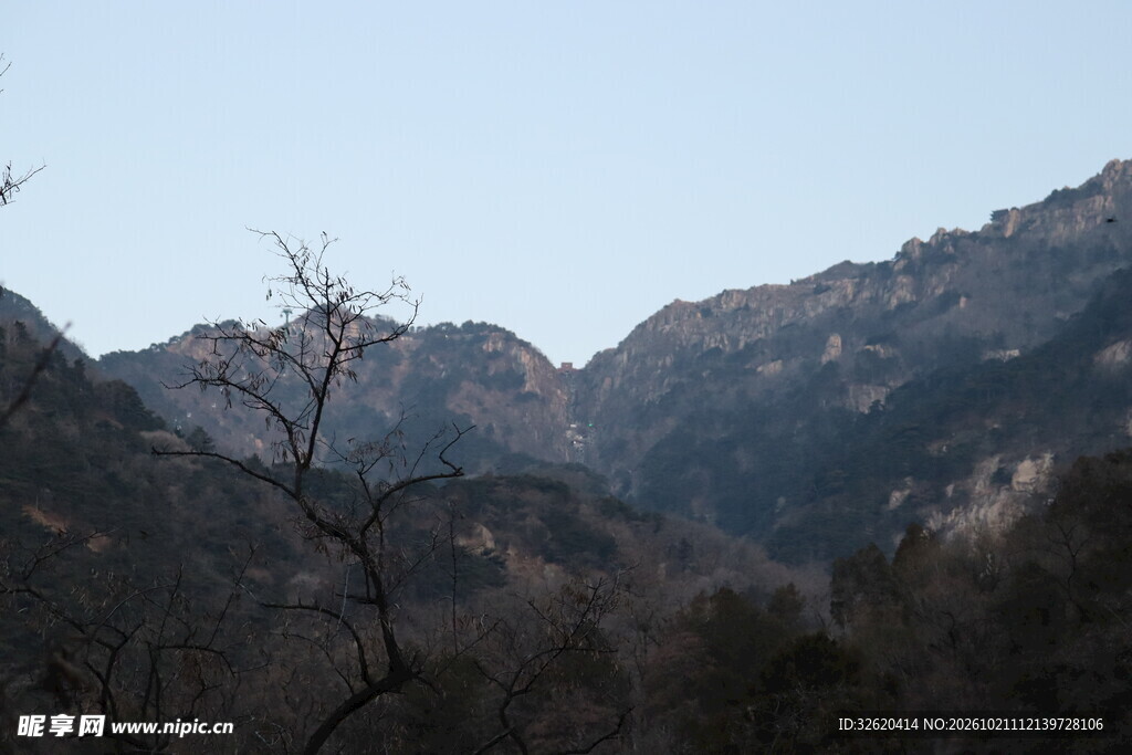 山野枯树远景风光