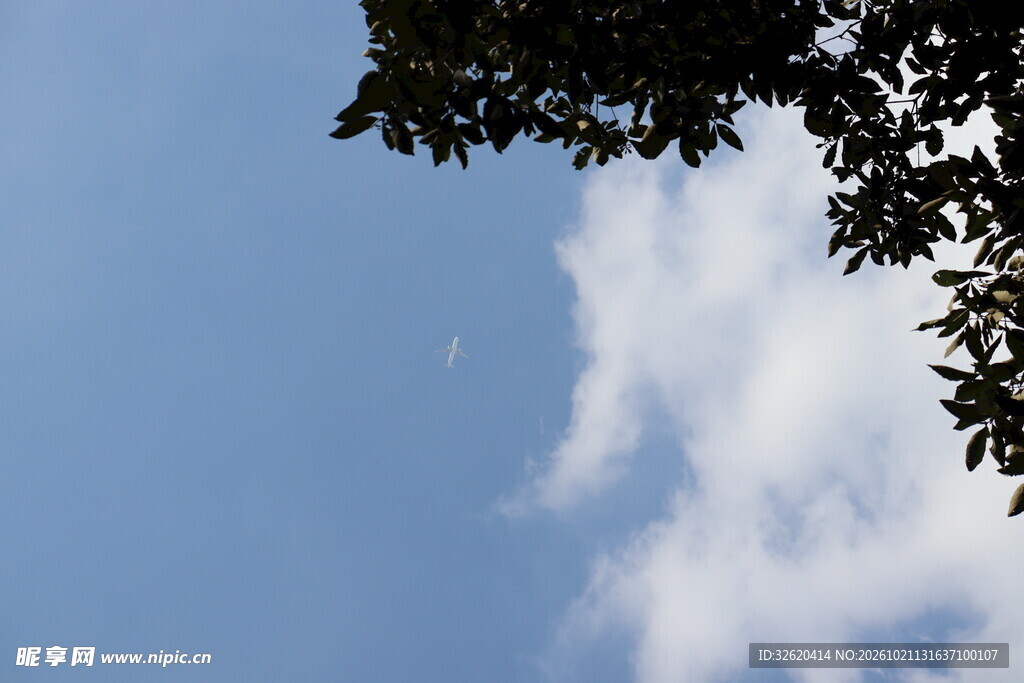蓝天树叶晴空小景