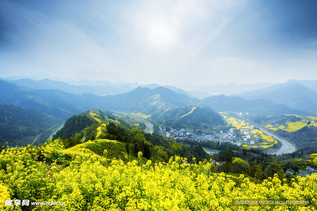 山间油菜花田盛景