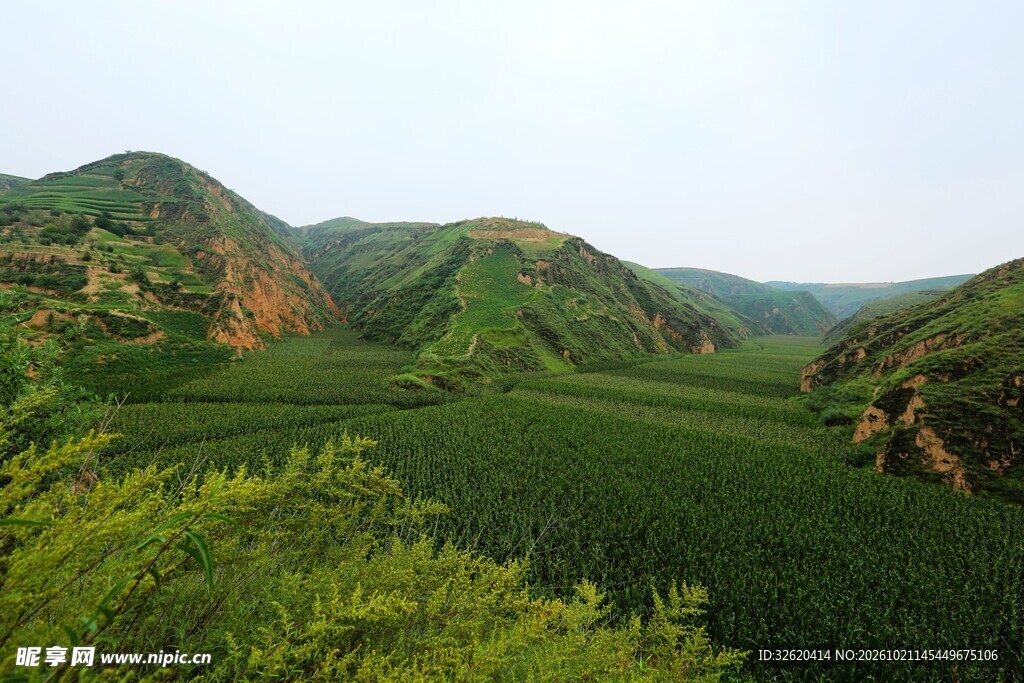 青绿山野自然景观