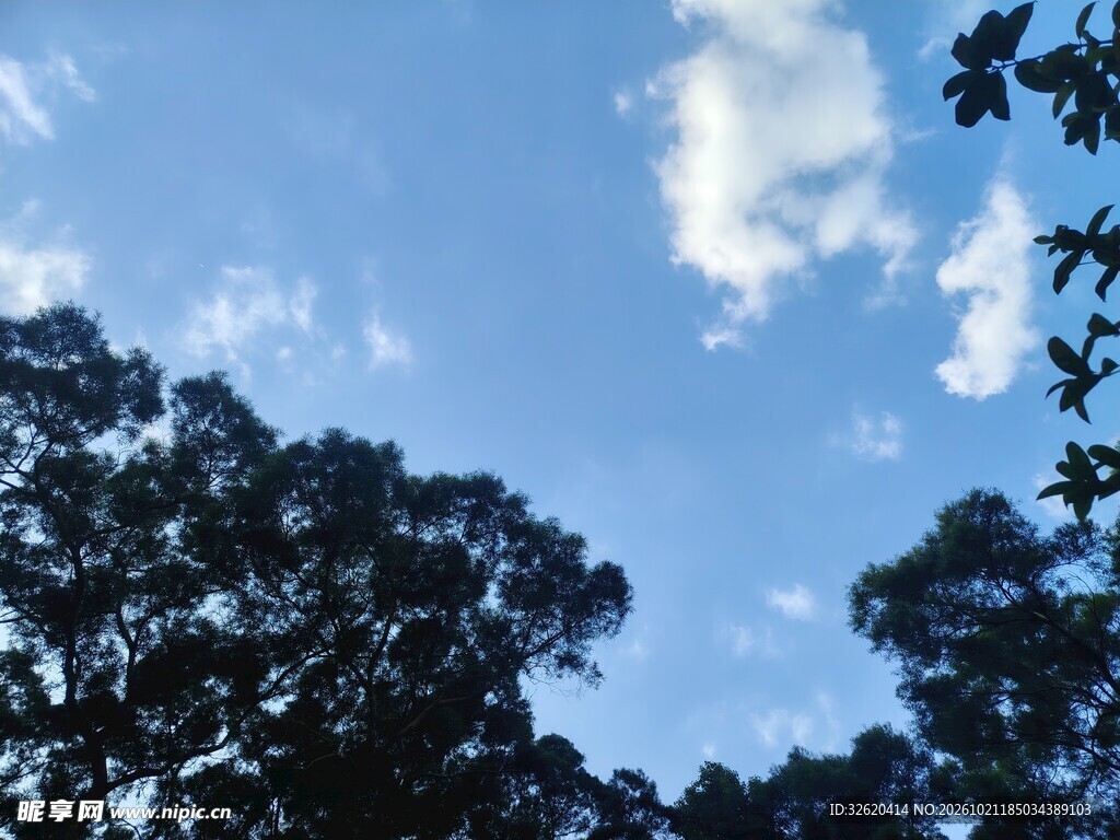 蓝天绿树晴空美景