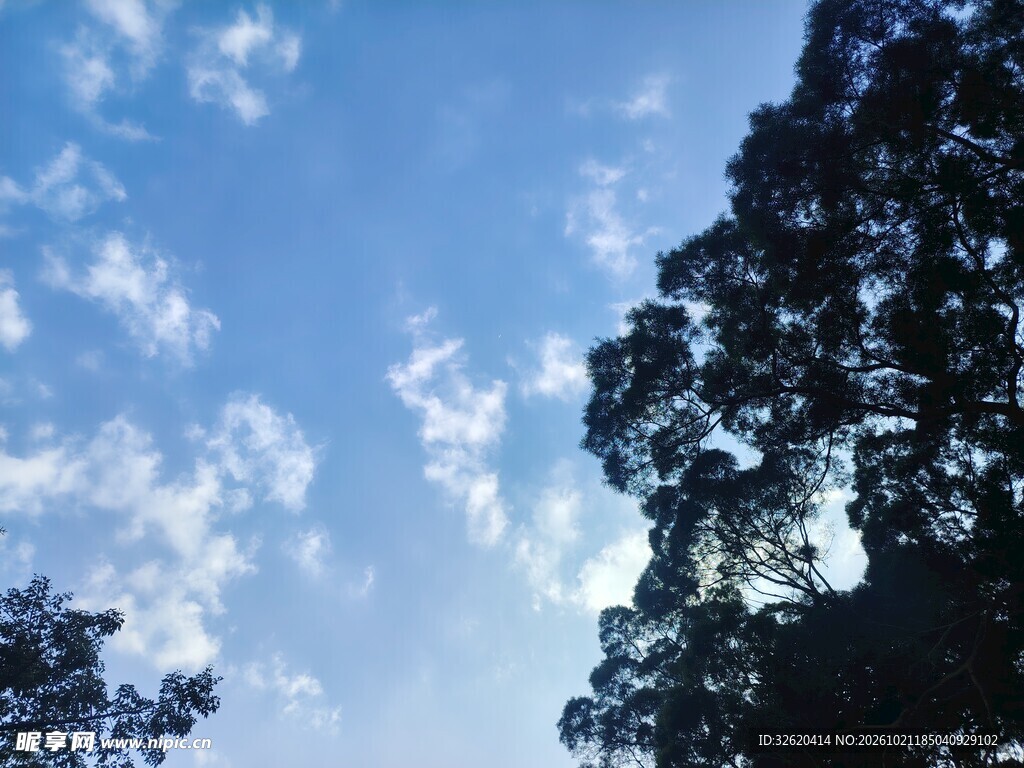 蓝天白云树影风光