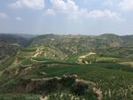 丘陵山野风光