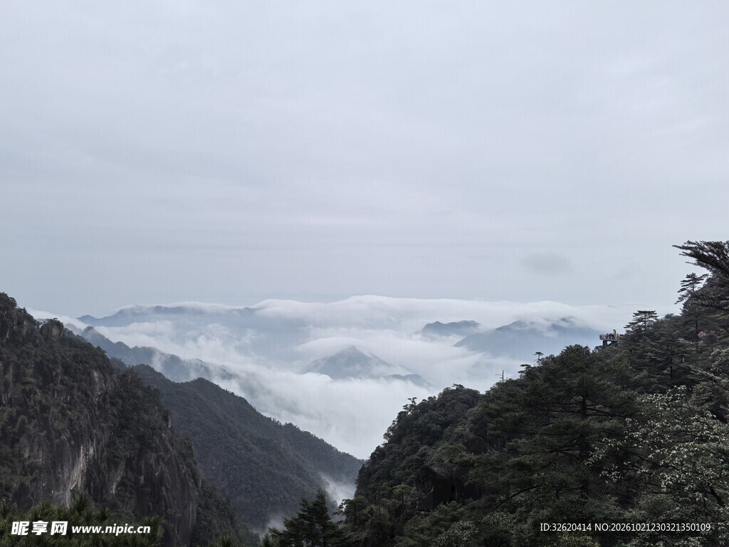 山谷云雾自然景观