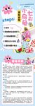 小乌龟领养打卡攻略信息长图
