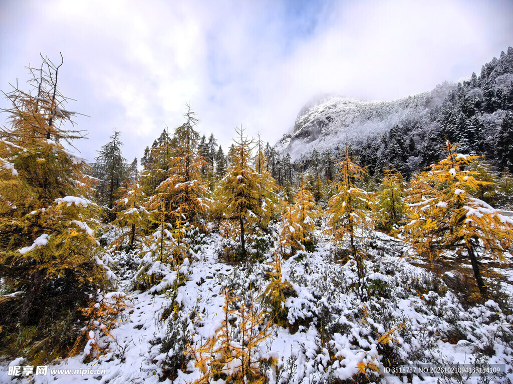 秋天雪山