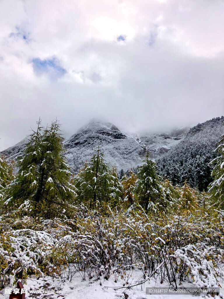 高原雪景
