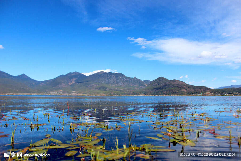 拉市海风景