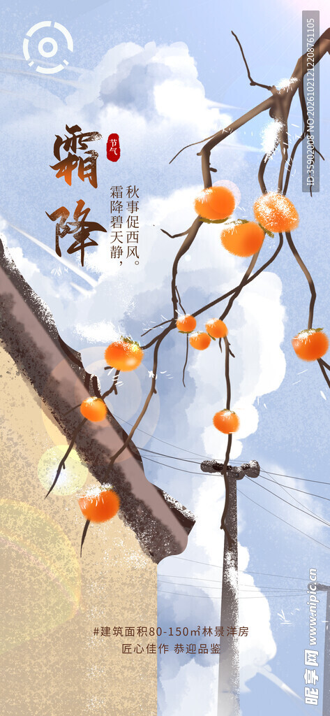 霜降节气柿子手绘海报