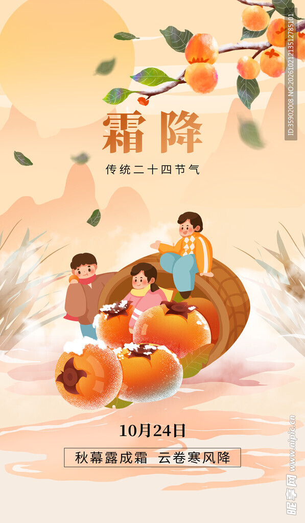 霜降节气摘柿子插画