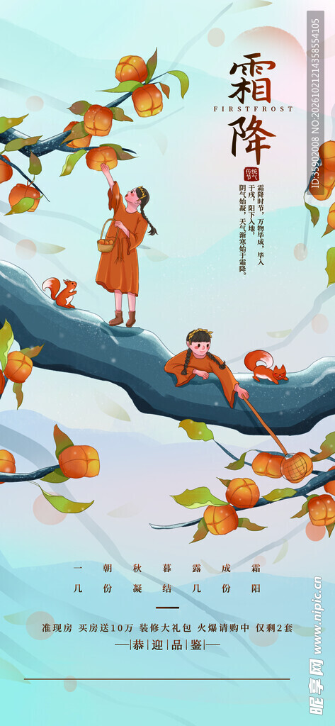 霜降摘柿子节气插画