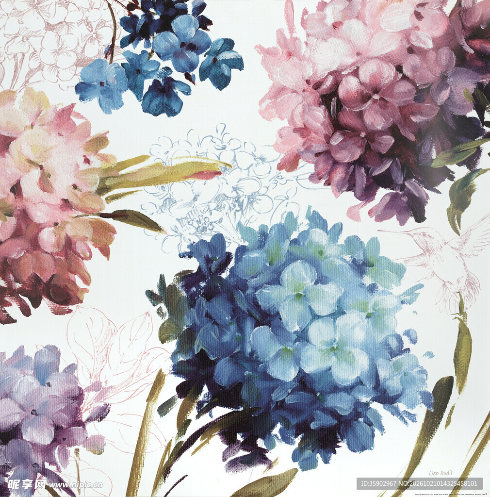 水彩手绘绣球花卉图案