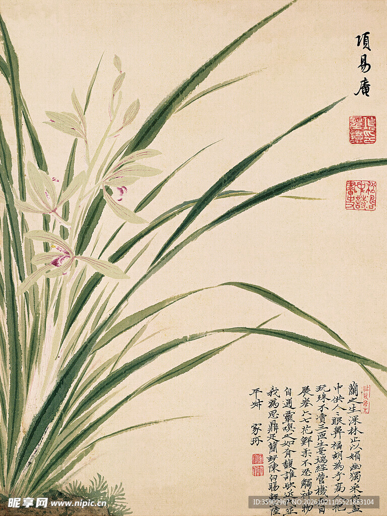国画工笔兰花图