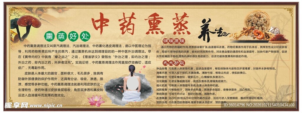中药熏蒸养生科普展板