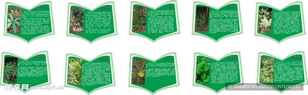 草药标识牌大全