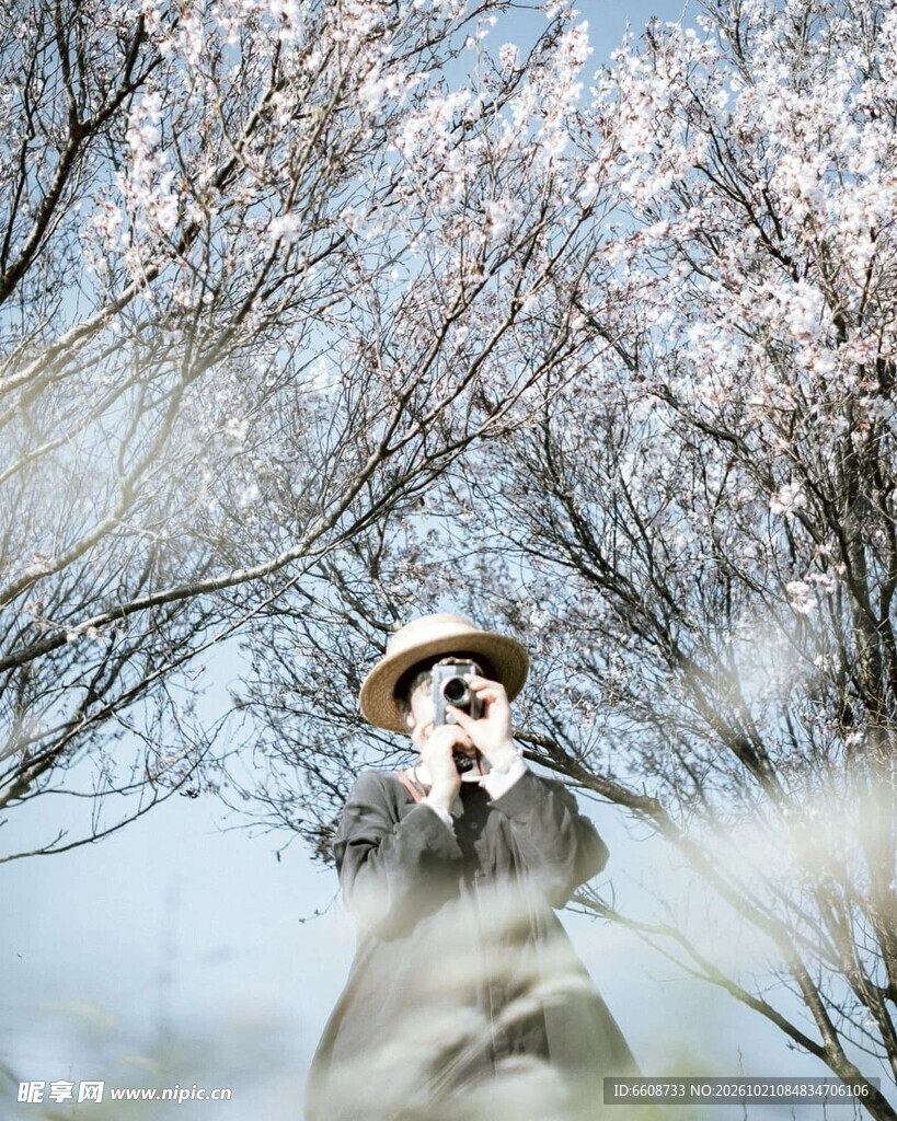 春日花下拍照的人