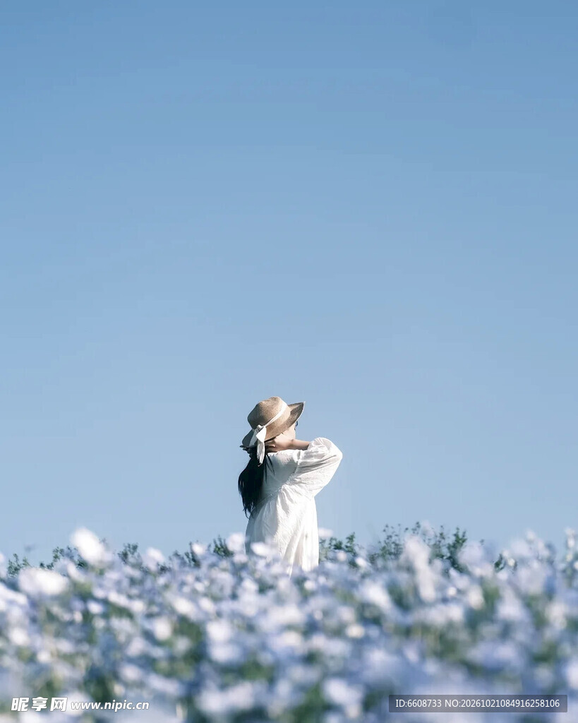 晴空花田白衣少女