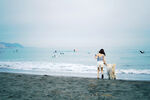 海边少女与爱犬漫步