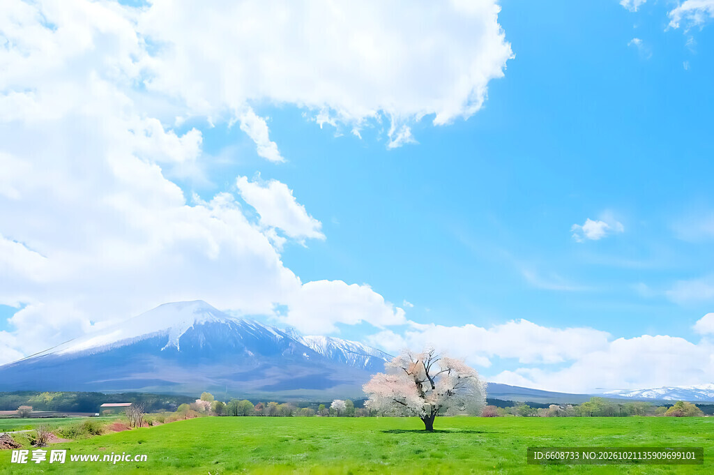 春日郊野晴空美景