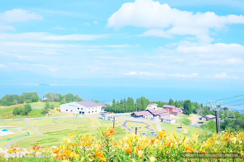 郊野夏日花海美景