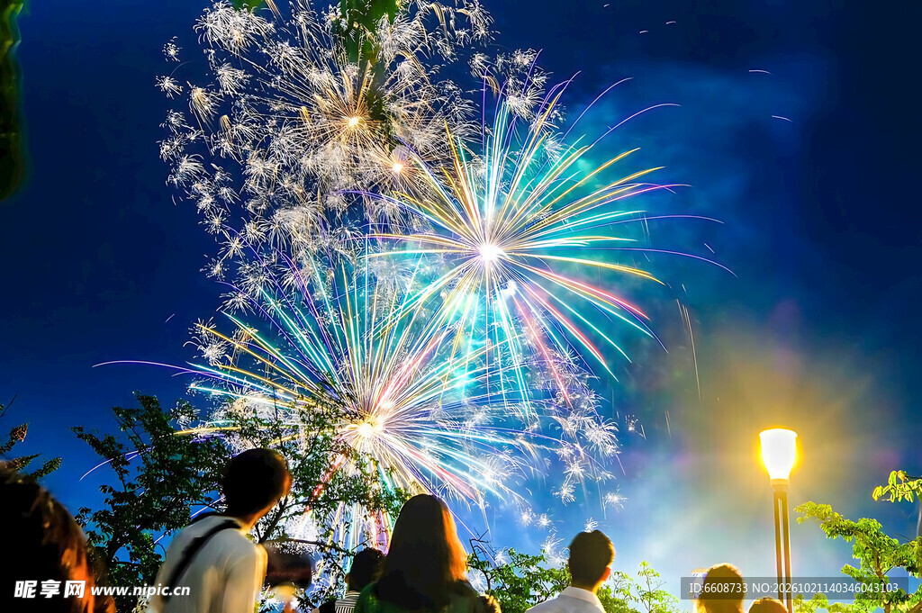 夏夜共赏绚烂烟花