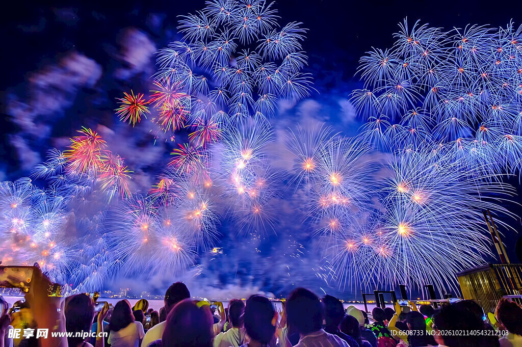 众人观赏夜空烟花盛景