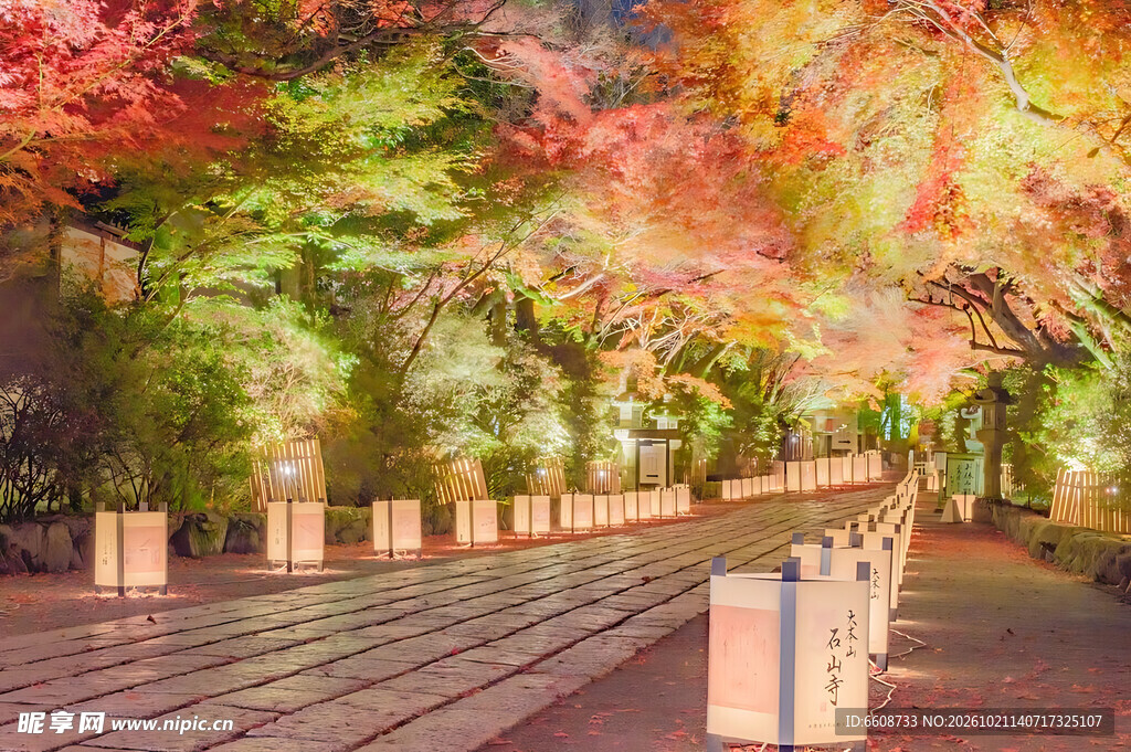 秋日林荫步道夜景