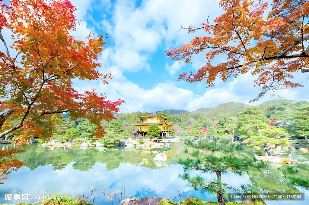 秋日湖畔红枫美景