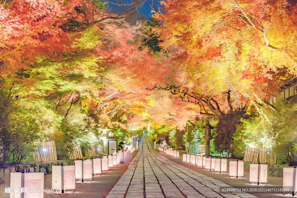秋日红叶步道美景