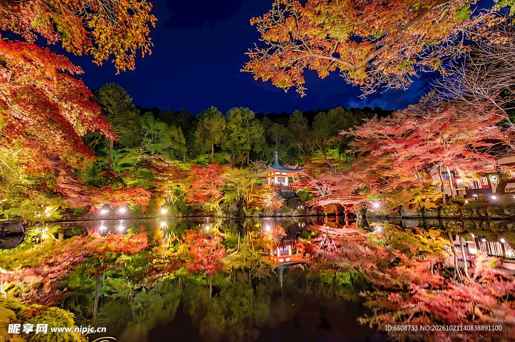 秋夜红叶园林夜景