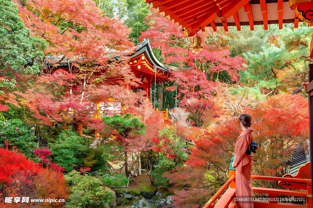 秋日古寺和服赏枫女子