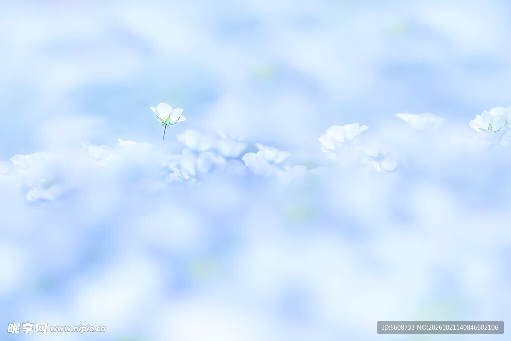 清浅蓝调水纹光影